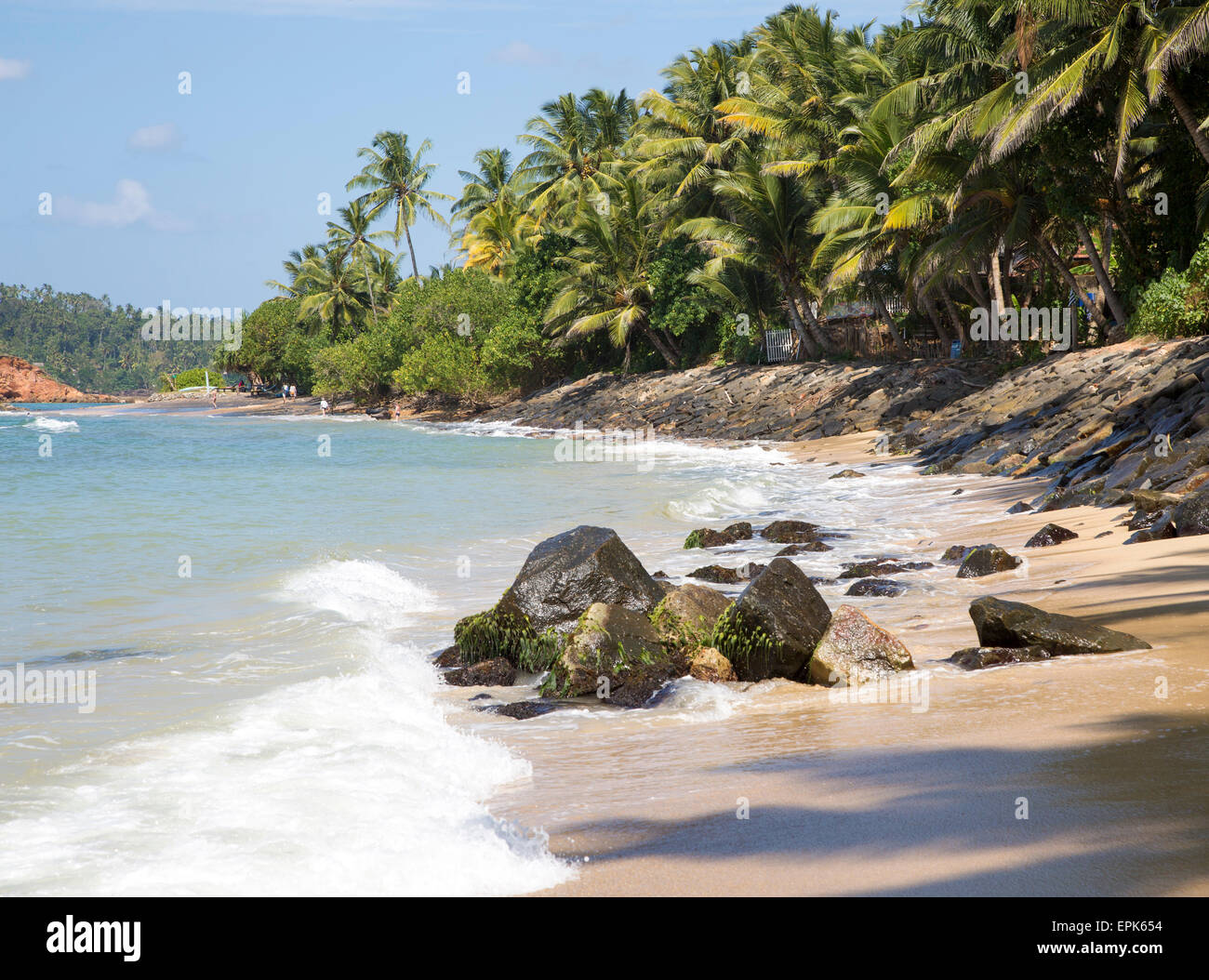 Tropical landscape of palm trees and sandy beach, Mirissa, Sri Lanka ...
