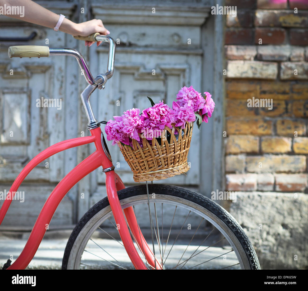 Vintage bicycle with basket with peony flowers Stock Photo Alamy