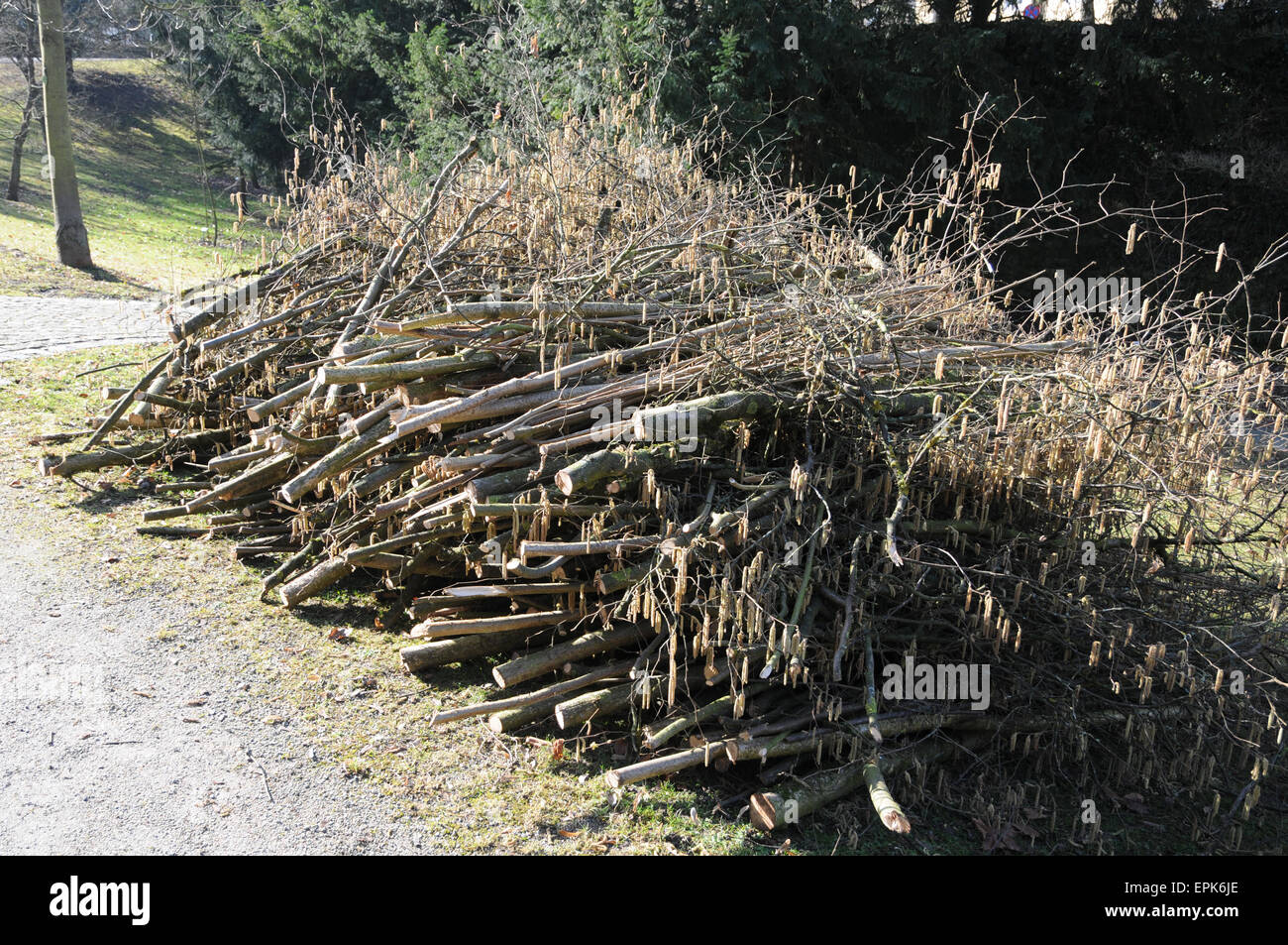 Hazel wood hires stock photography and images Alamy