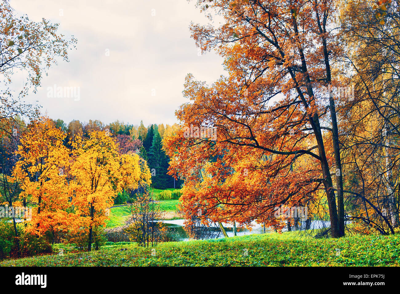 autumn landscape in park with river and blue sky Stock Photo - Alamy