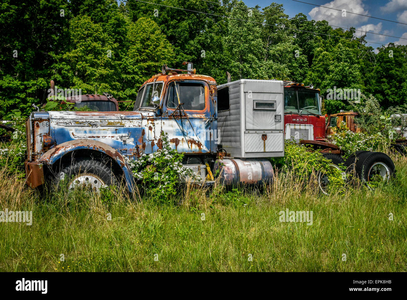 A Truck Junkyard Stock Photo Alamy