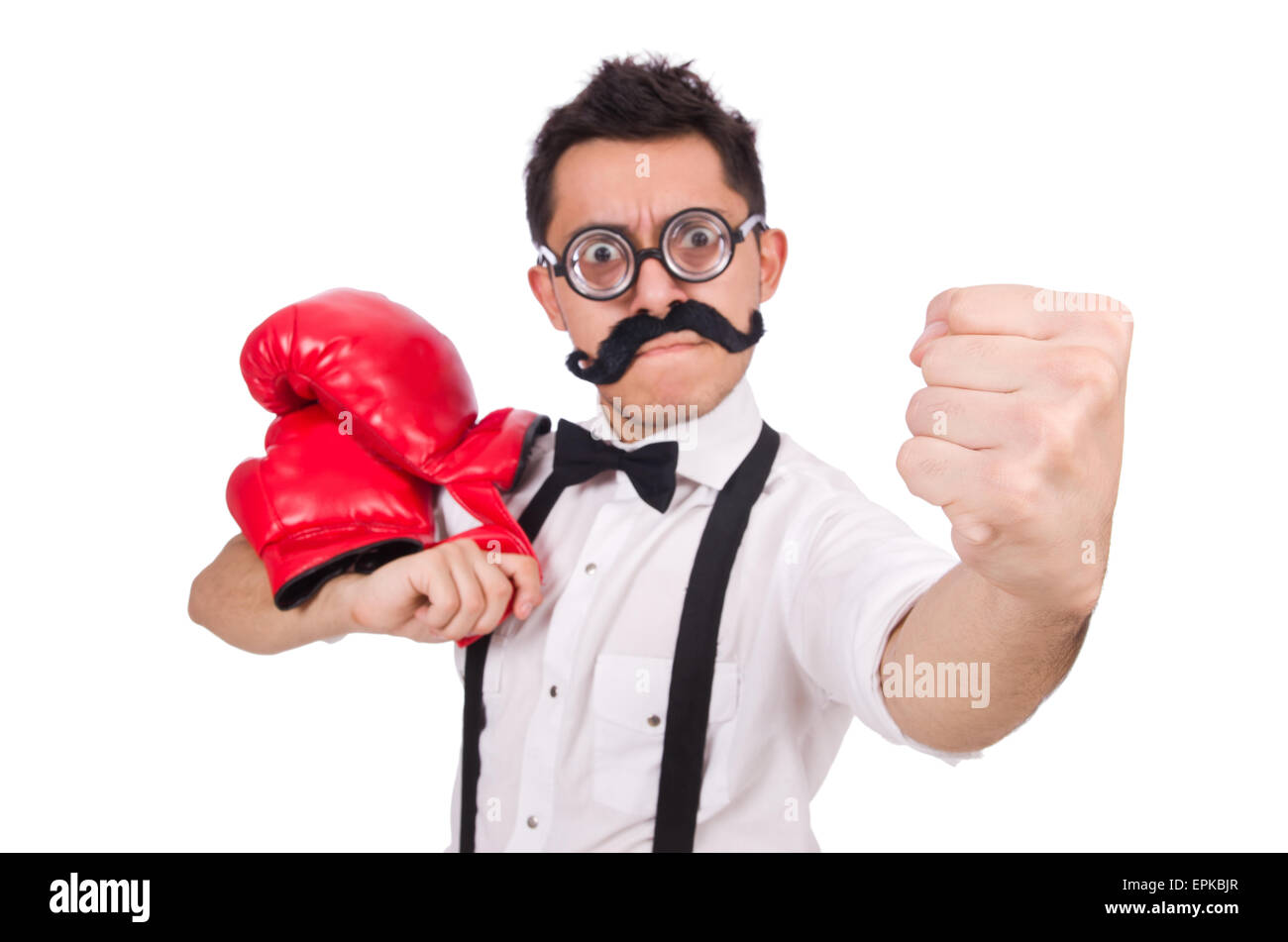 Funny boxer isolated on the white background Stock Photo - Alamy