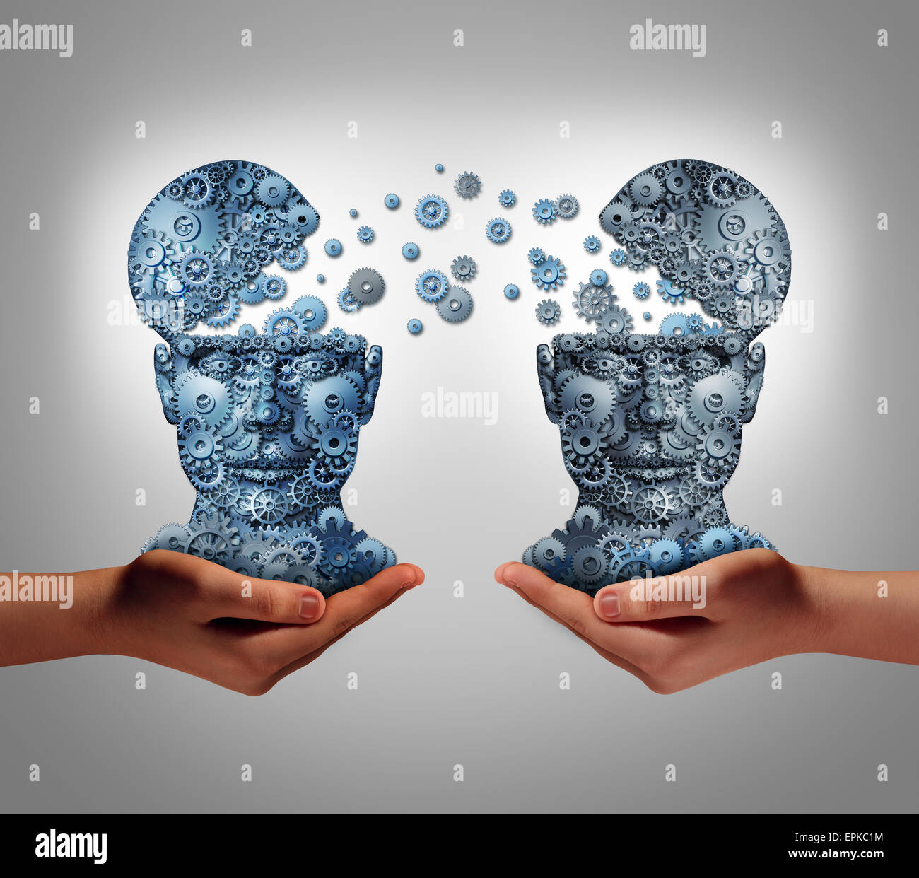 Sharing technology business concept as hands holding two human heads made of gears and cog wheels exchanging information as a symbol and financial metaphor for buying and selling or share data from one company to another. Stock Photo