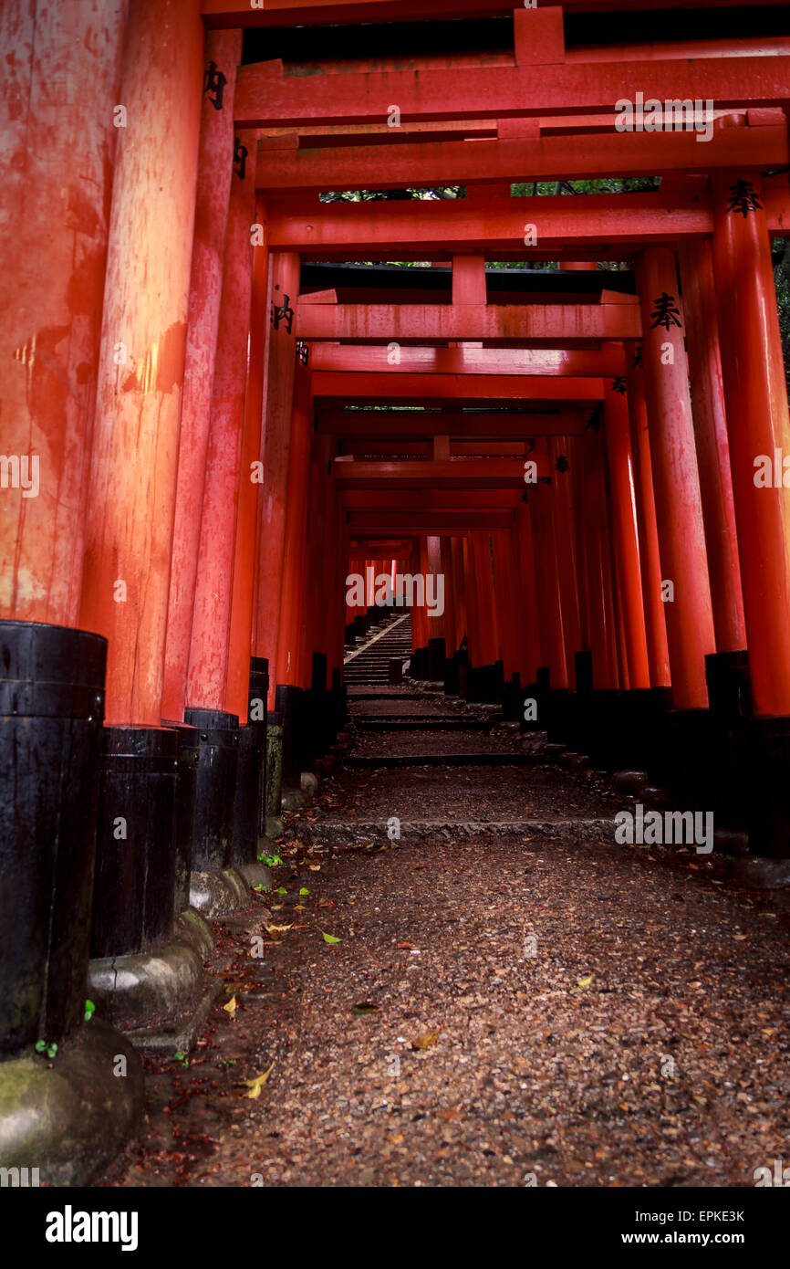 Tori gates in the forest way in Kyoto Stock Photo