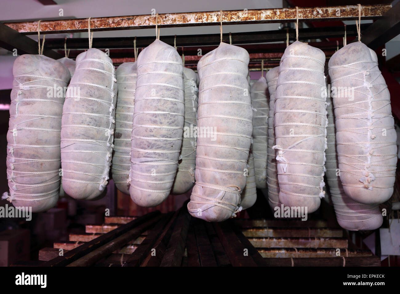 Freshly strung Capocollo (capicola), a regional delicacy, hang in a