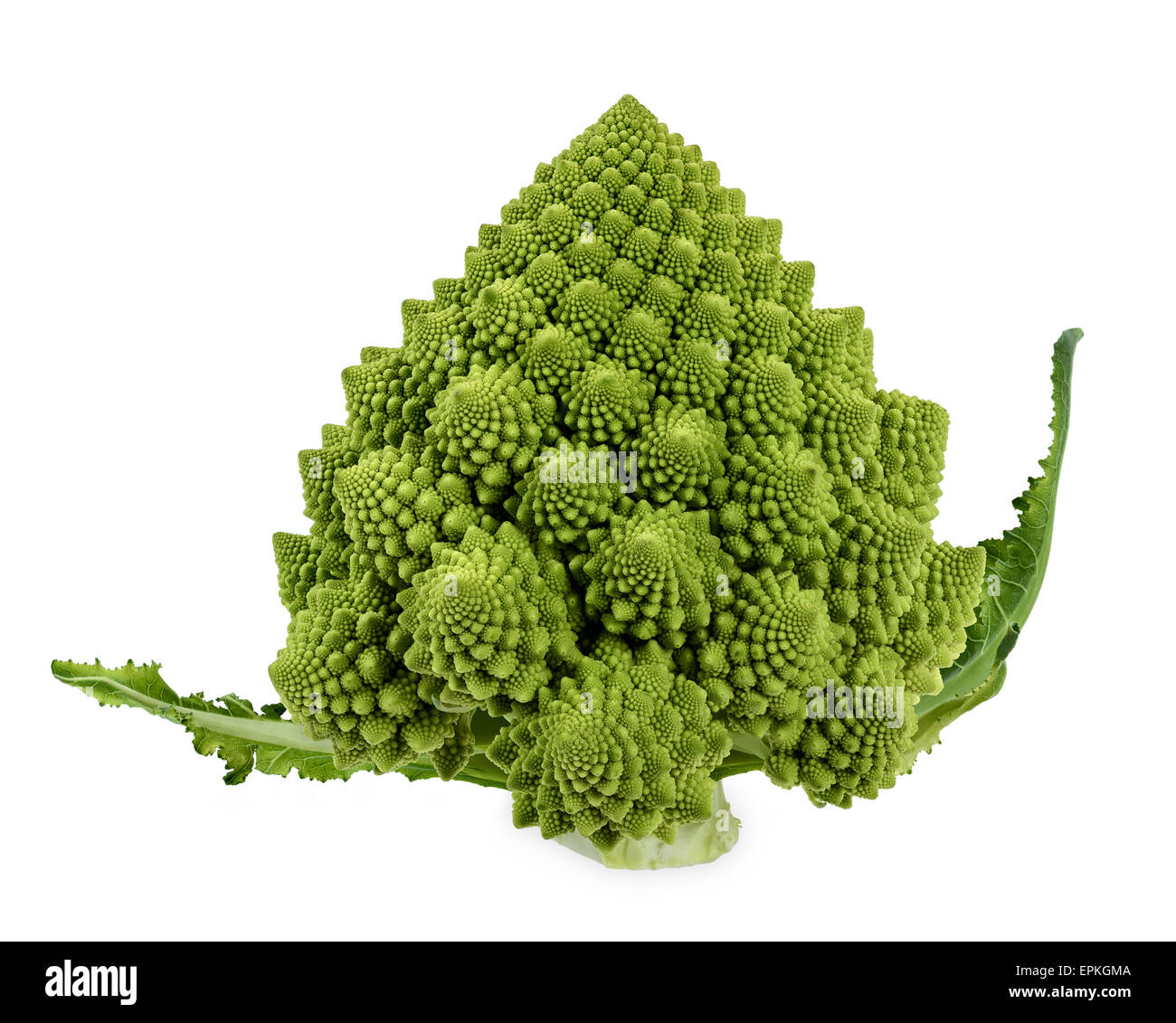 Romanesco broccoli Stock Photo