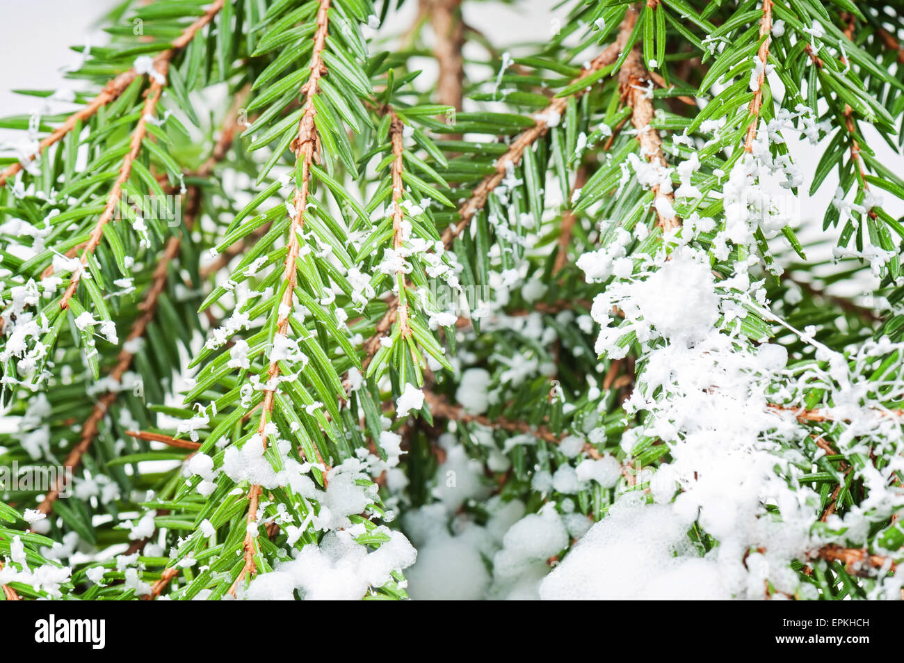White artificial snow Christmas tree Stock Photo Alamy