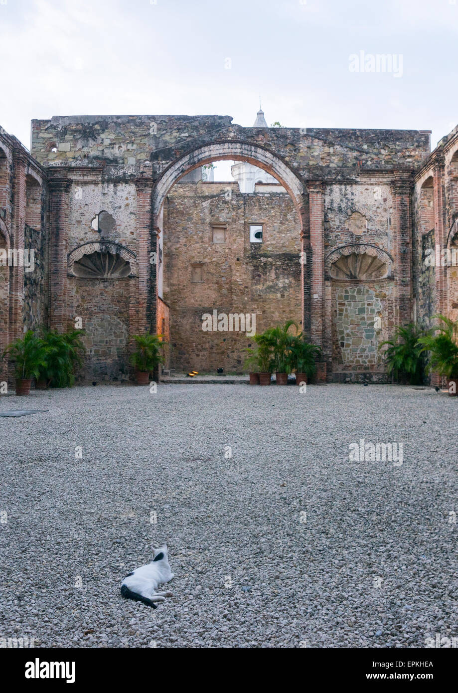 Panama, Province Of Panama, Panama City, Ruins Of Conception Nuns Convent At Panama Viejo Stock Photo