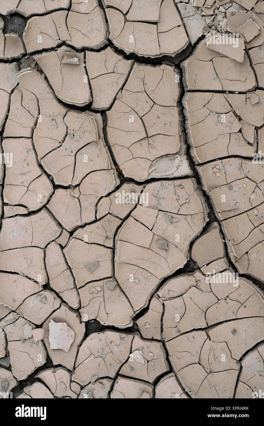 Dried mud dryness rifts flaws Stock Photo
