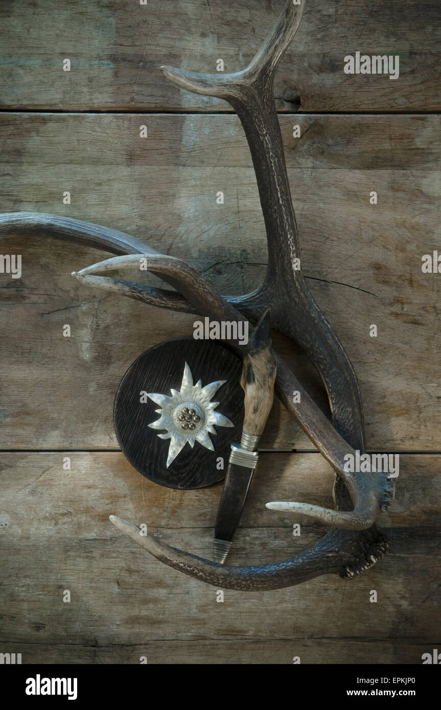 Deer antler, hunting dagger, wooden Edelweiss Stock Photo