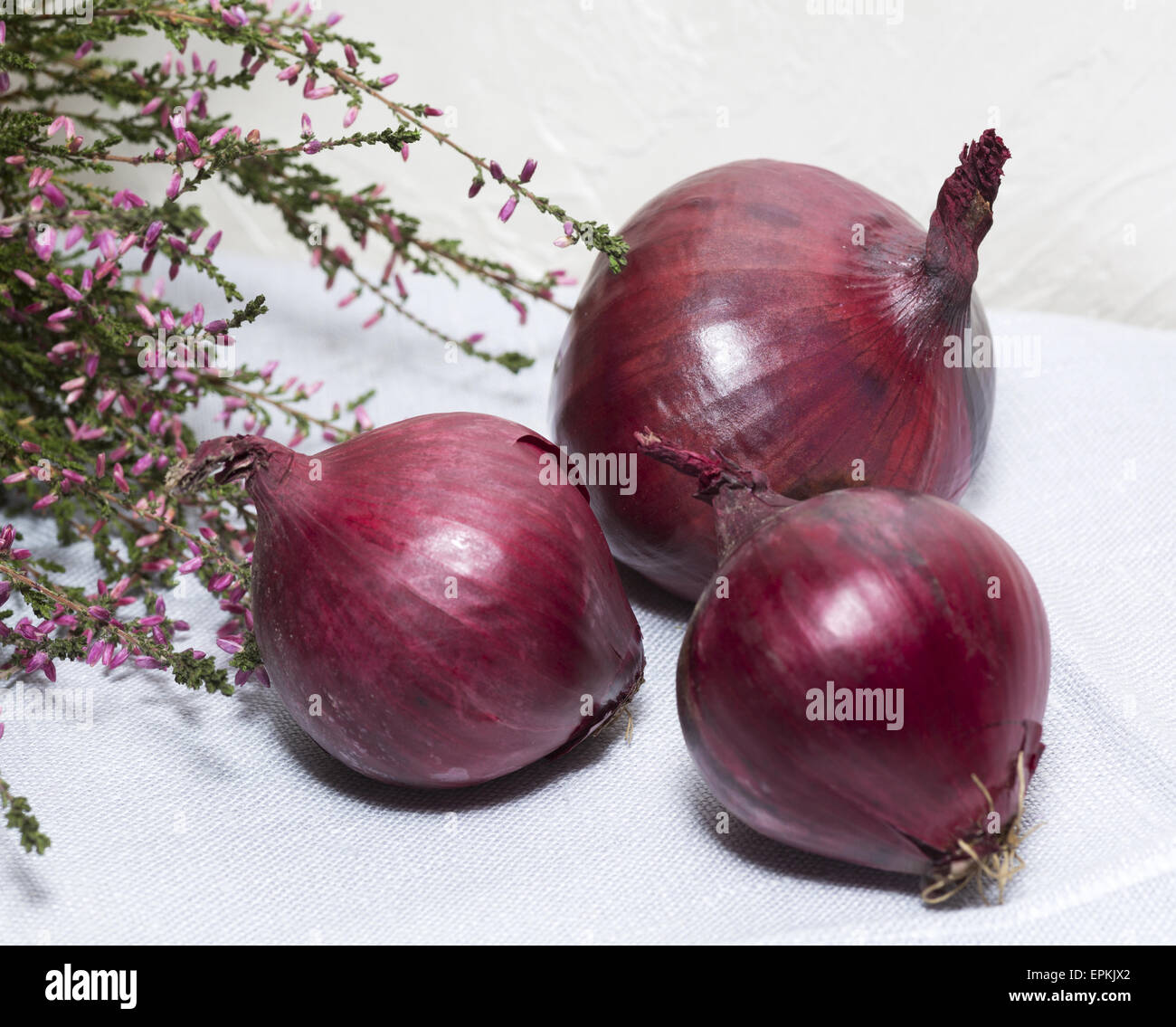 Red onion flower hires stock photography and images Alamy