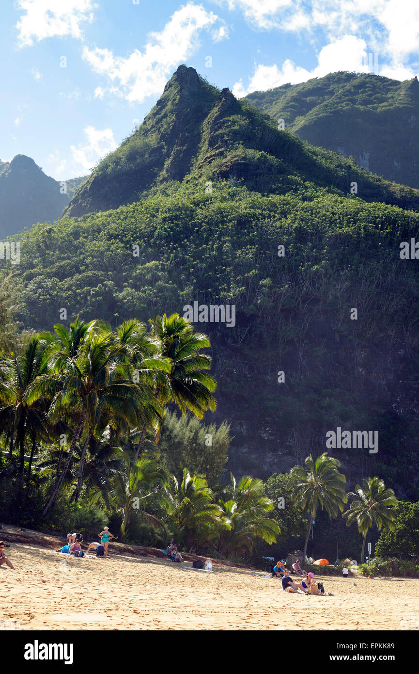 USA, Hawaii, Hanalei, Tunnels Beach with palms, Haena Beach Stock Photo