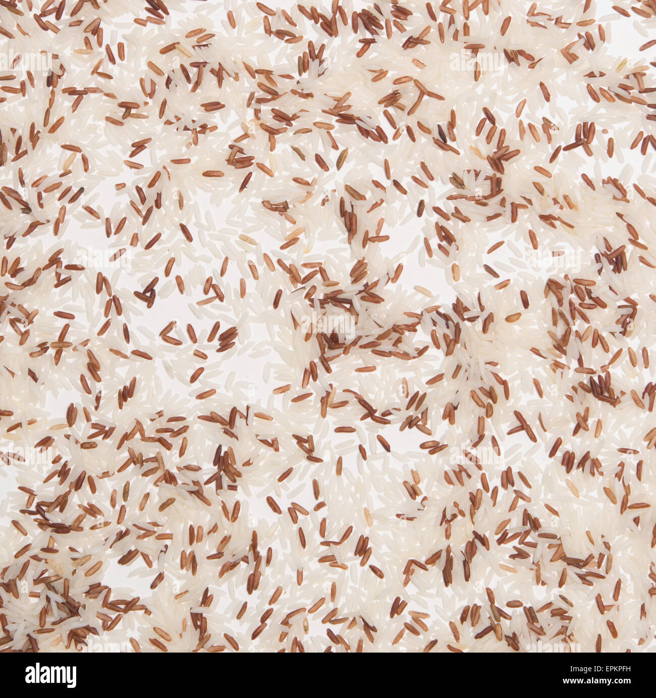Bunch rice plant hi-res stock photography and images - Alamy