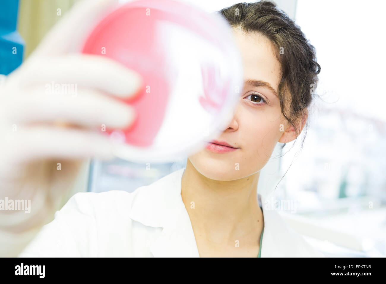 Young lab technician looking at agar plate Stock Photo