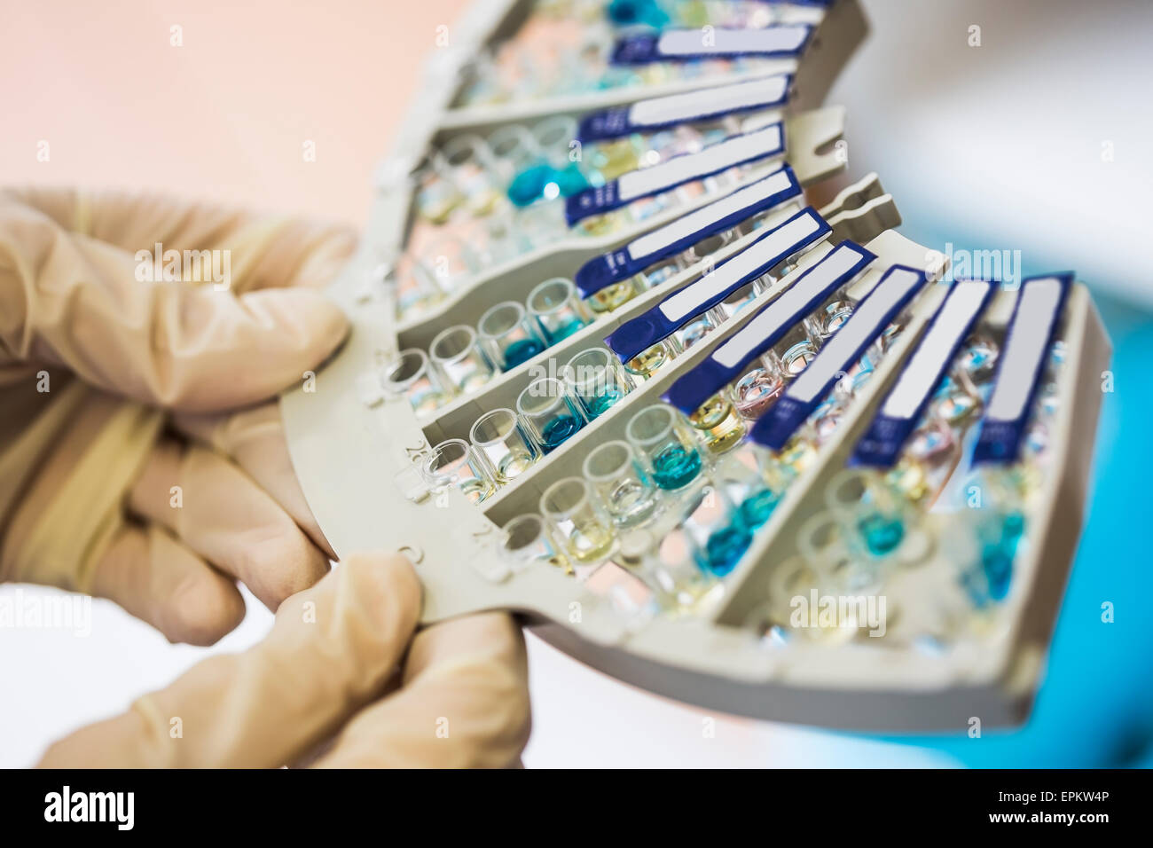 Antibody test hires stock photography and images Alamy