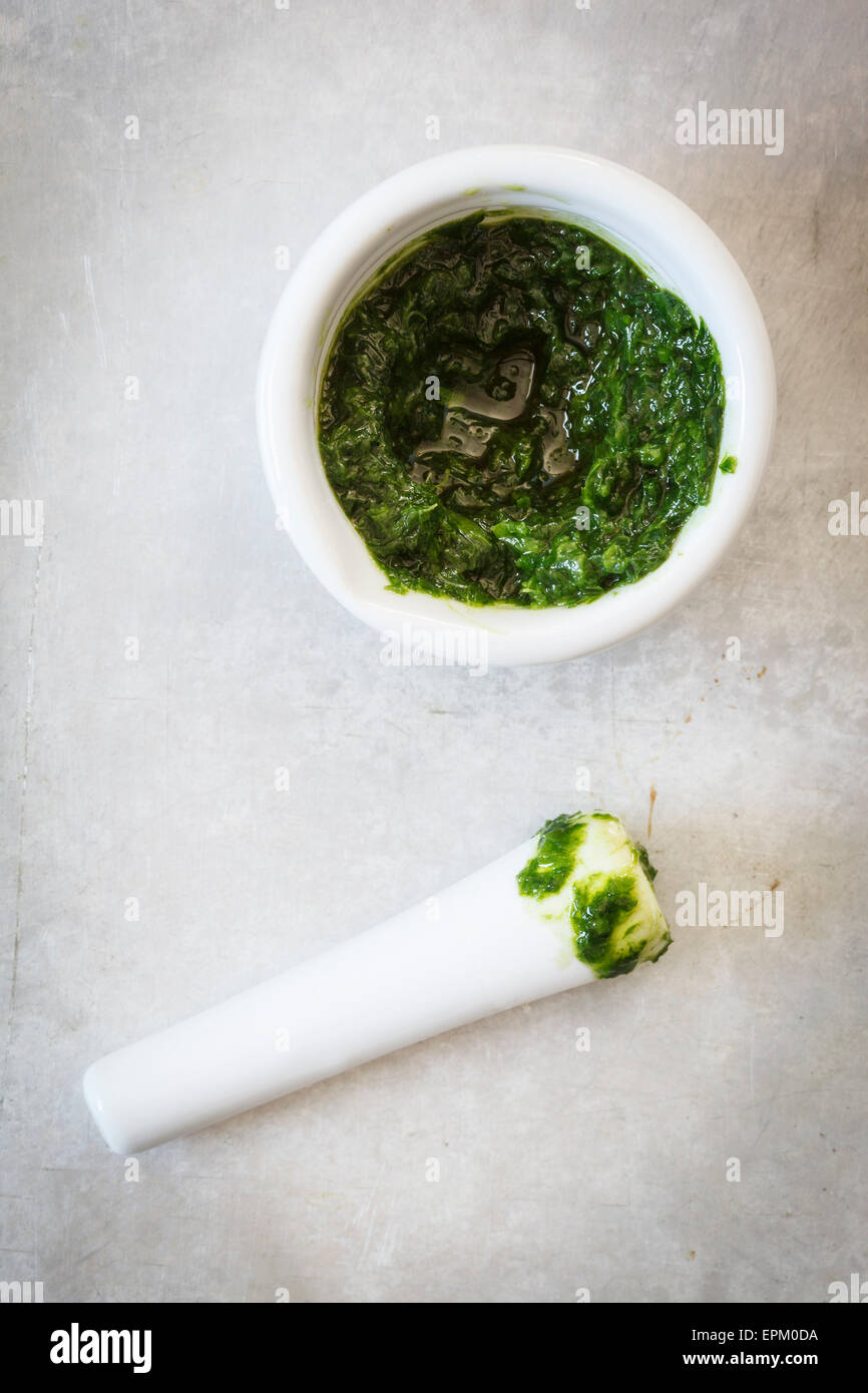 Mortar and pestle with ramson pesto Stock Photo Alamy