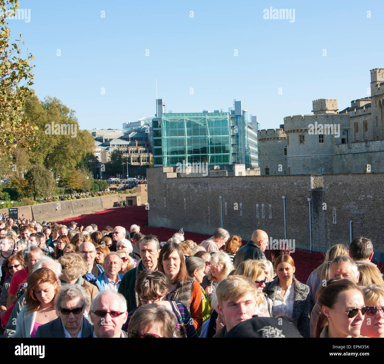 Crowds visiting Ceramic Poppies In London Stock Photo
