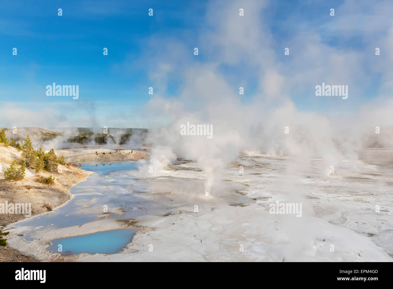 Hot springs norris basin hi-res stock photography and images - Alamy