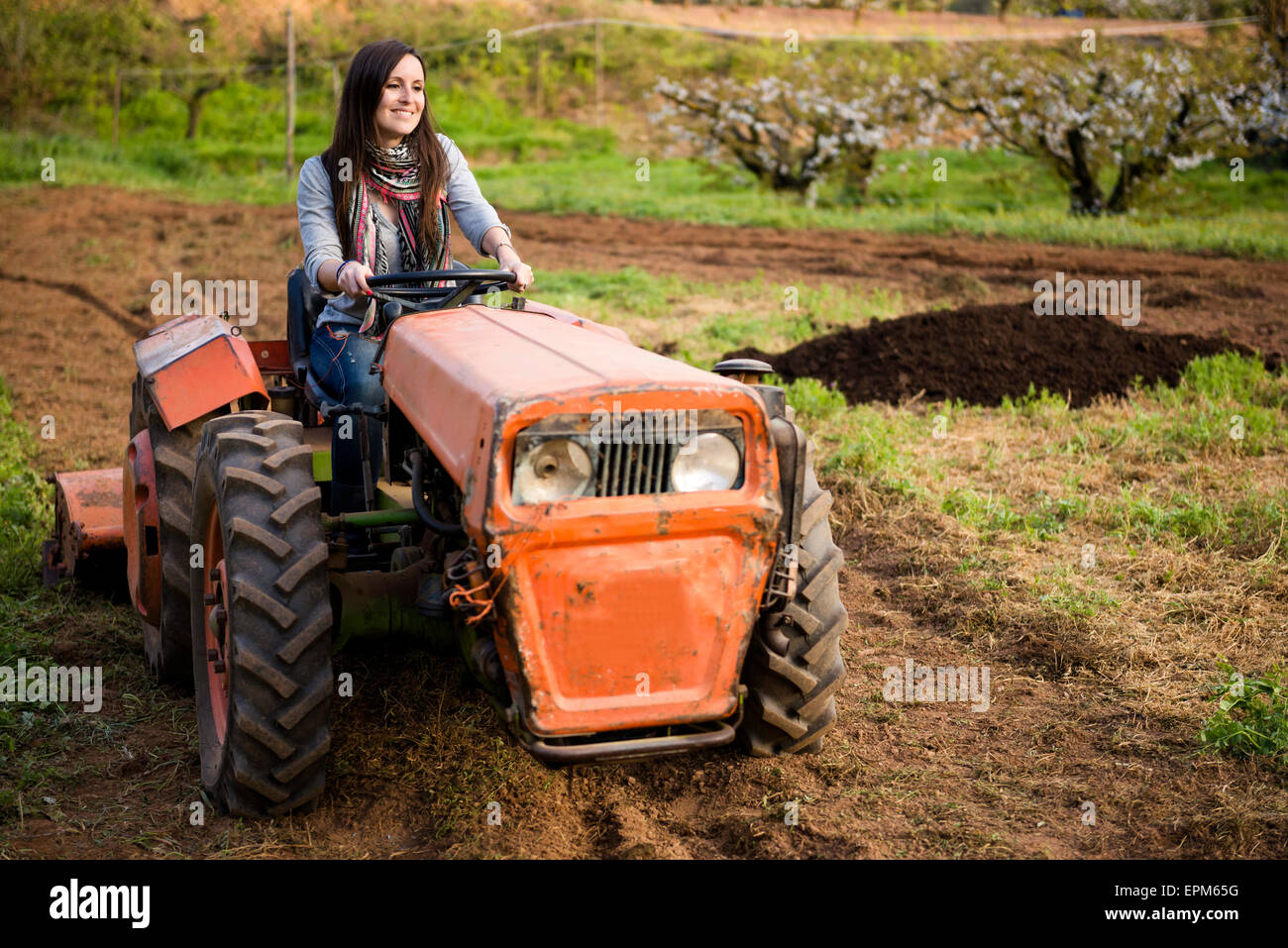 Farmer woman driving an old tractor through a field Stock Photo - Alamy