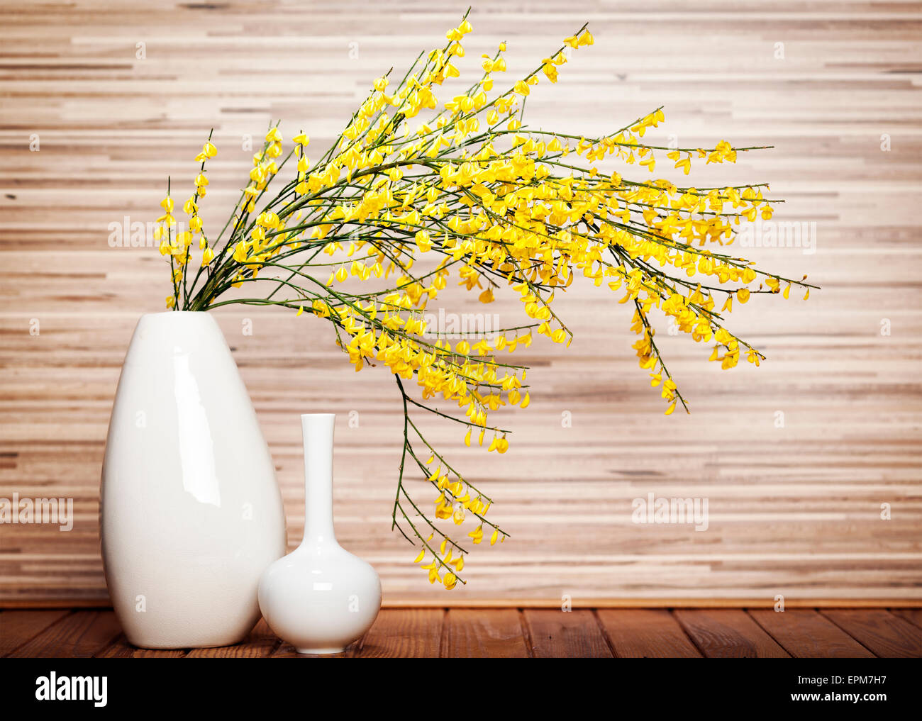 Still life with French Broom branch in a vase Stock Photo