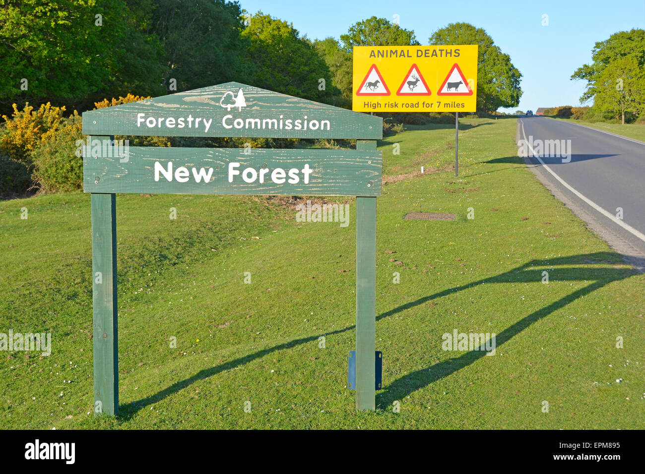 New Forest sign & road traffic sign warning motorists about high risk