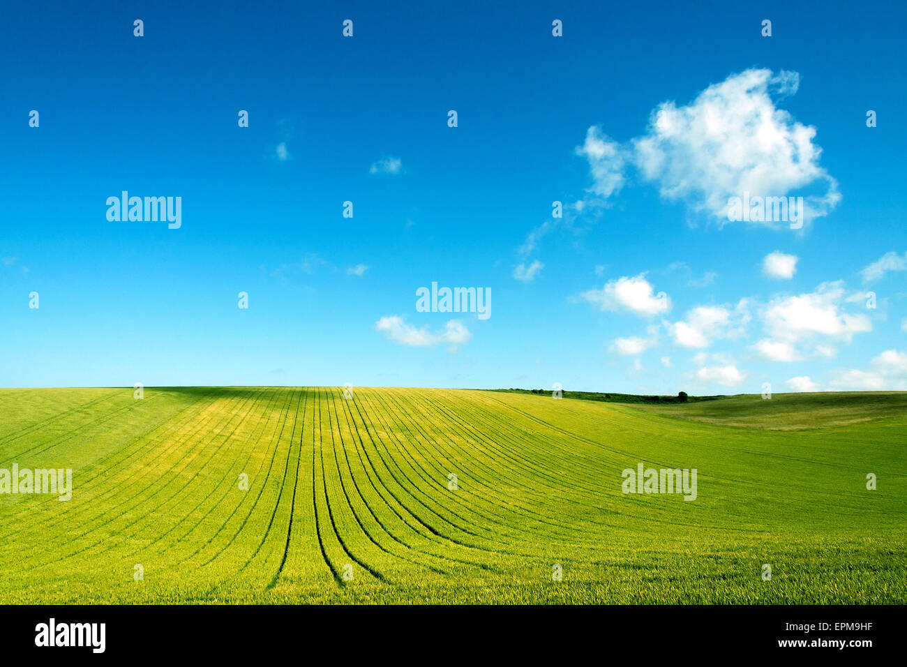 green field and blue sky with clouds in Picardy, France, Europe Stock ...