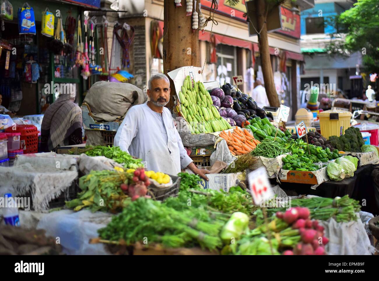 Cairo, Egypt. 2nd Feb, 2014. An Egyptian man sells vegetables, at a