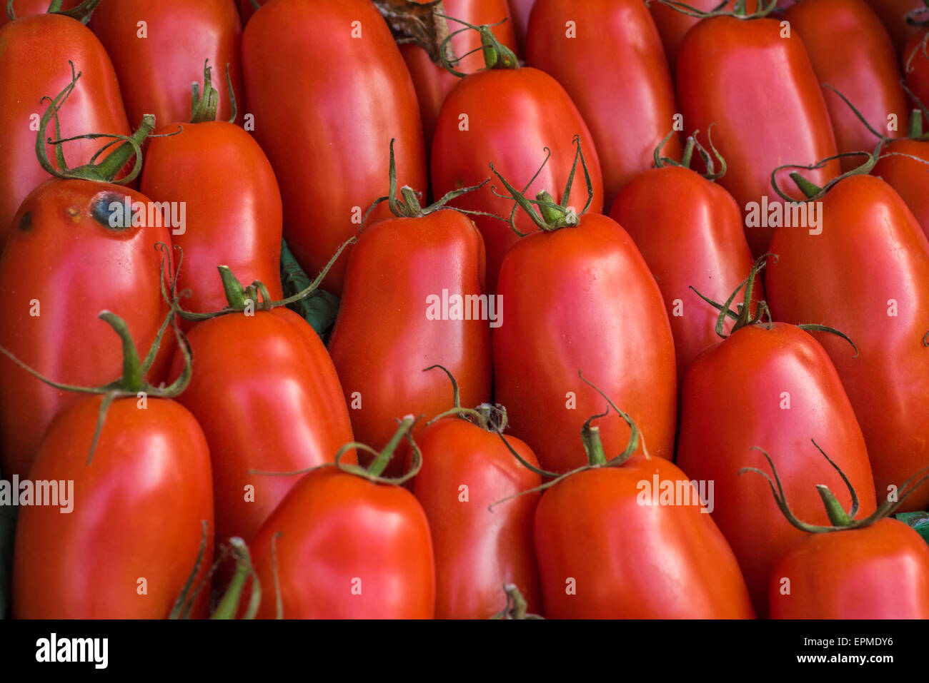 Red tomatoes in the market Stock Photo