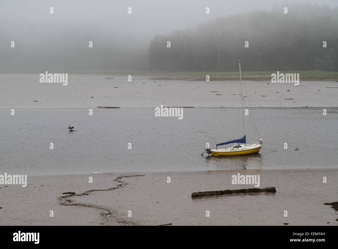 Machias River at low tide Stock Photo Alamy
