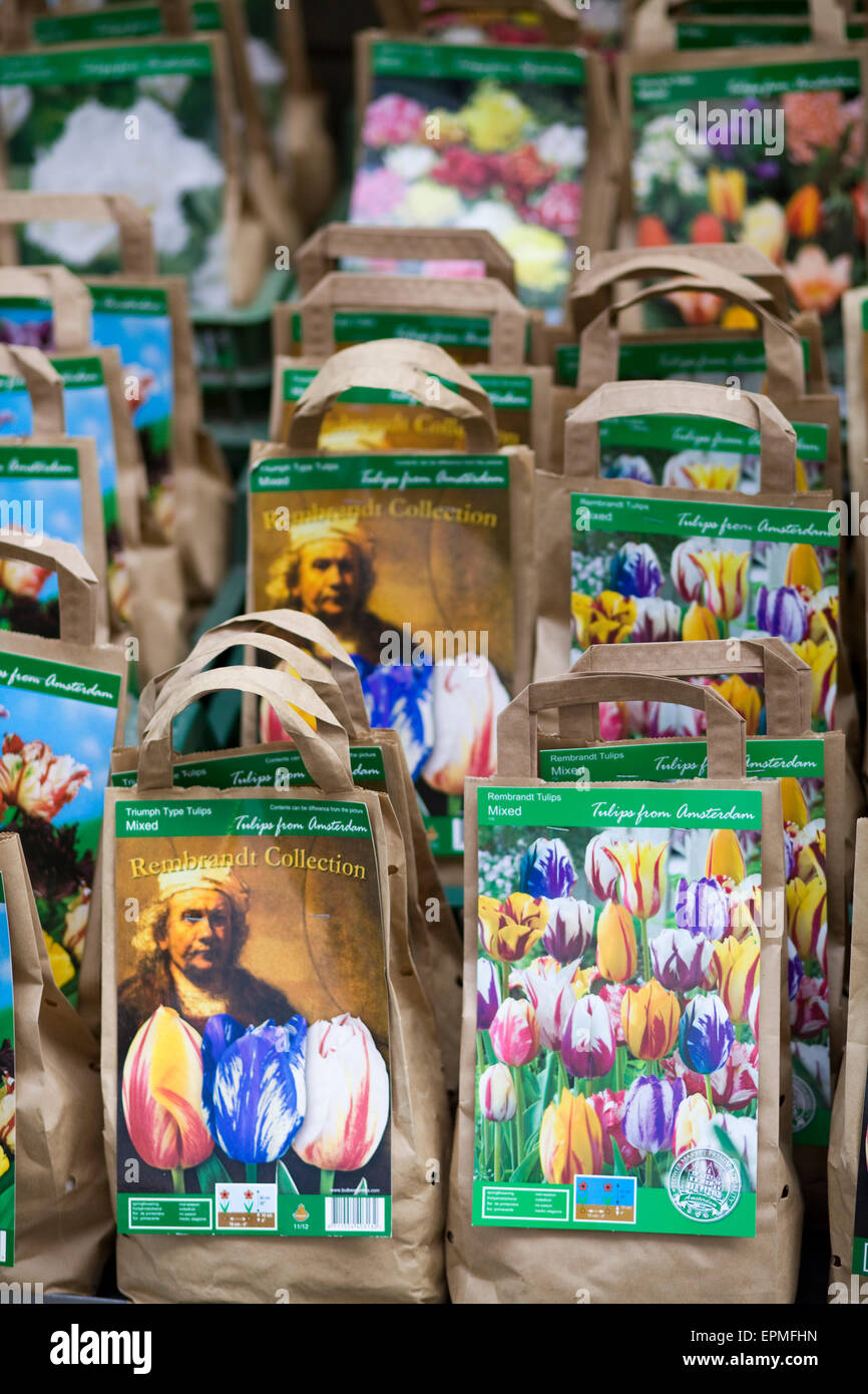 Rembrandt tulip hires stock photography and images Alamy