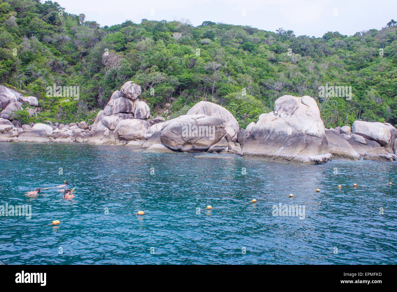 Snorkling at a bay in koh tao, thailand Stock Photo