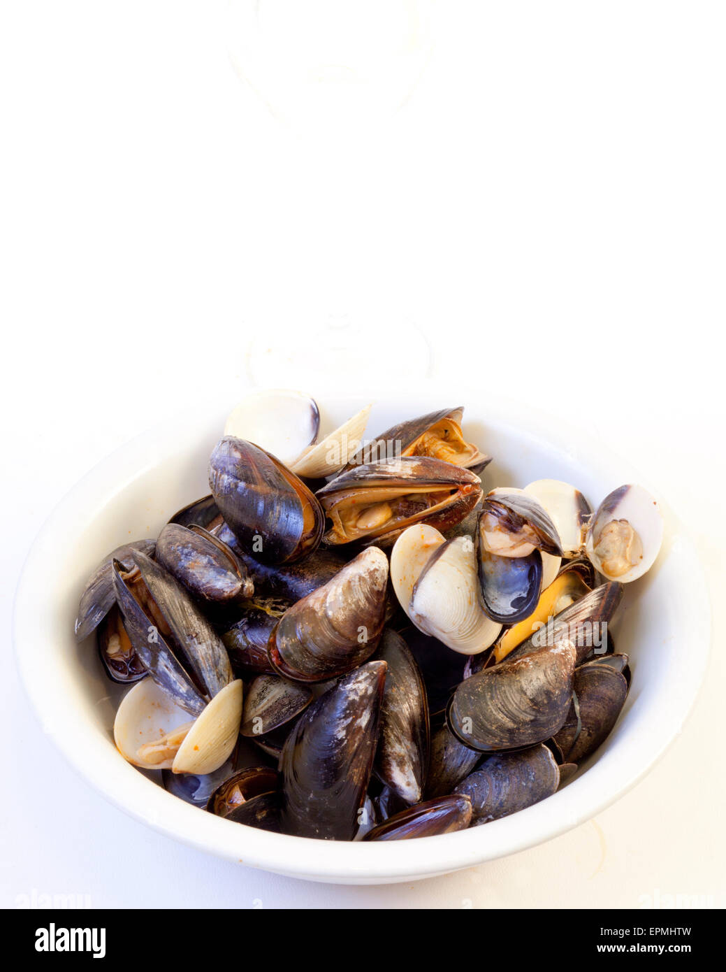 A bowl of mussels and cockles against a white background Stock Photo
