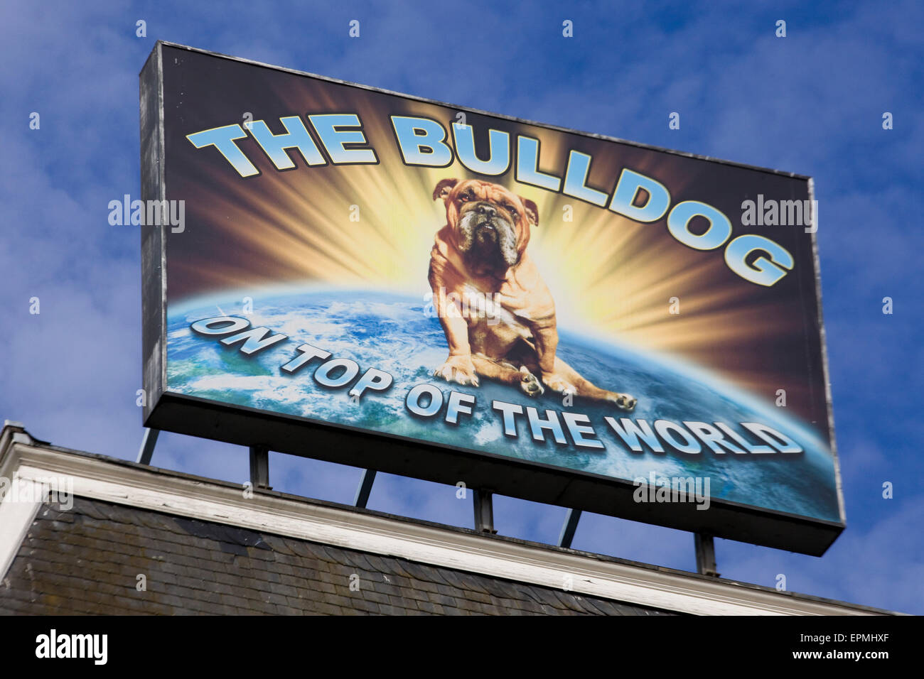 Bulldog Bar and coffee shop signs in Amsterdam Stock Photo
