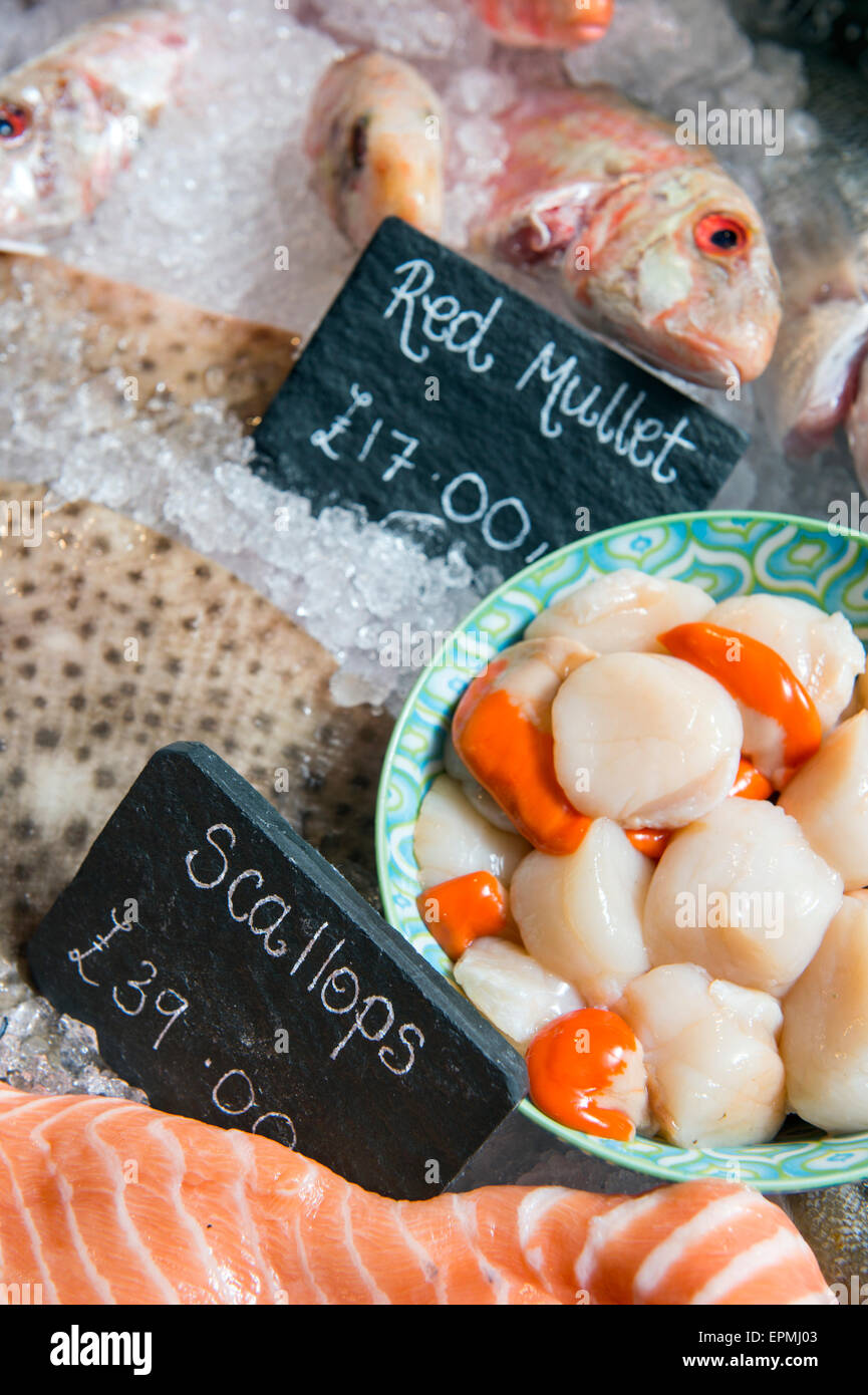 A selection of fresh fish including Red Mullett and Scallops in a fishmongers counter UK Stock Photo