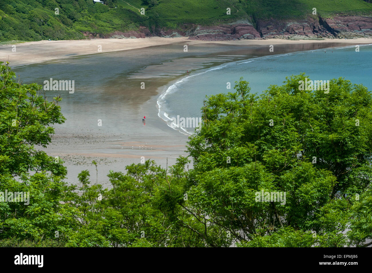 Freshwater East beach. Pembrokeshire. Wales. Cymru. UK. United Kingdom
