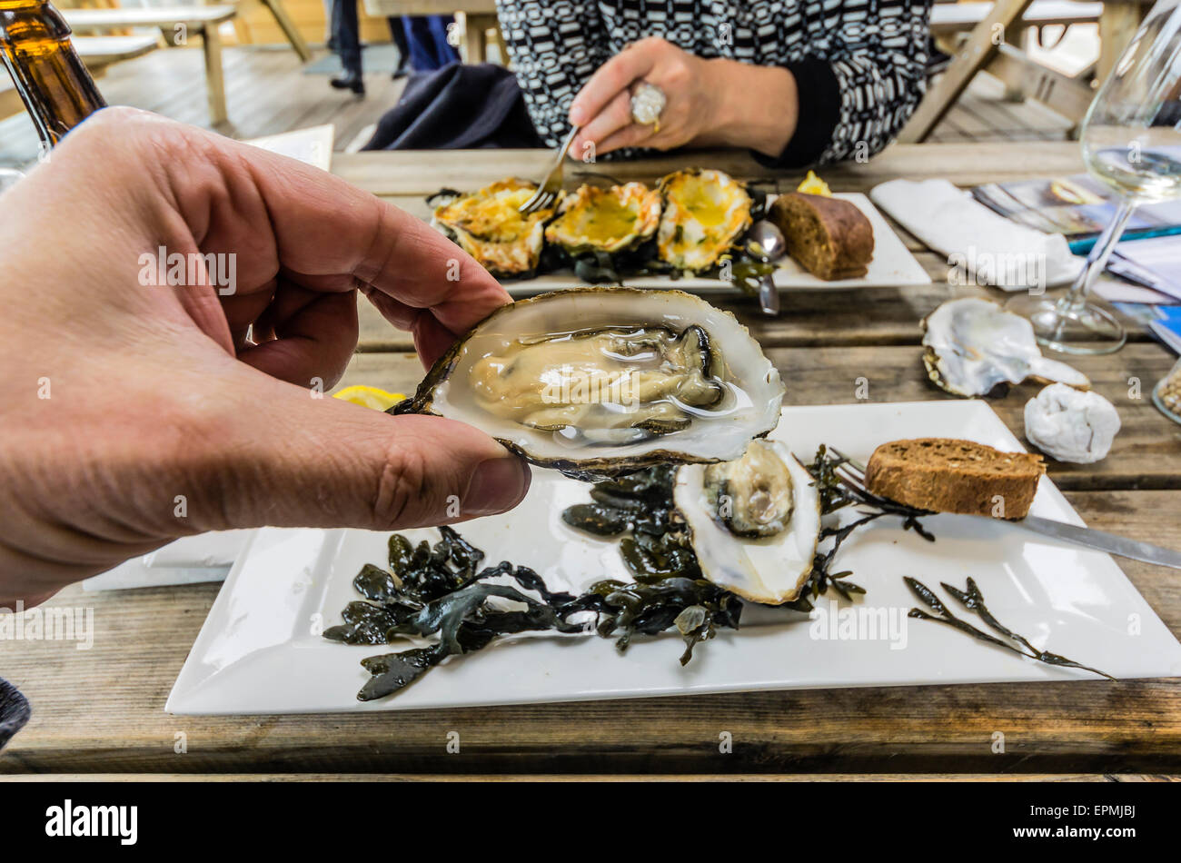 Zeeland oysters hires stock photography and images Alamy