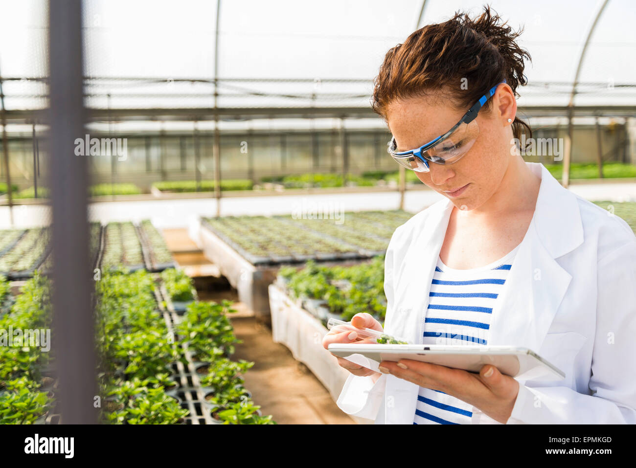 Checking plants garden centre hi-res stock photography and images - Alamy