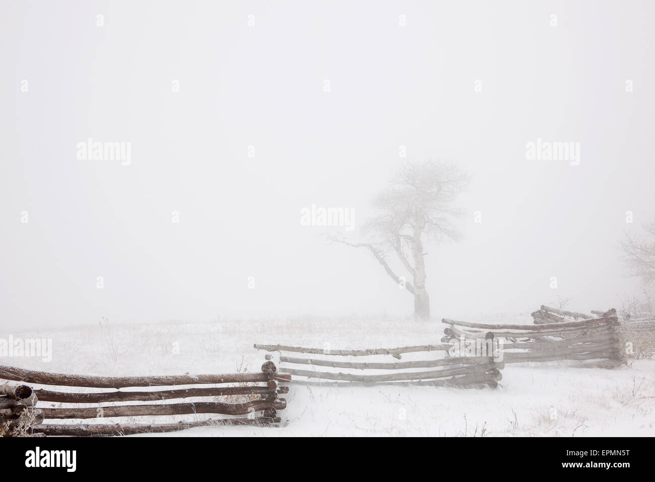 A cold winter's day, with white sky and snow on the ground. Mist obscuring trees. Stock Photo