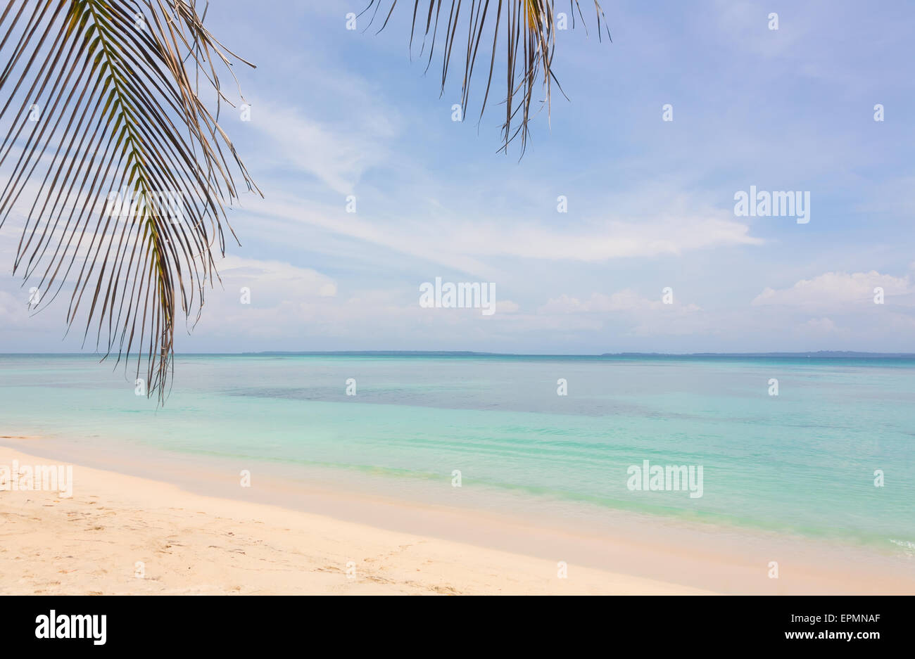 Beach on Zapatilla island, Bocas del Toro, Panama Stock Photo
