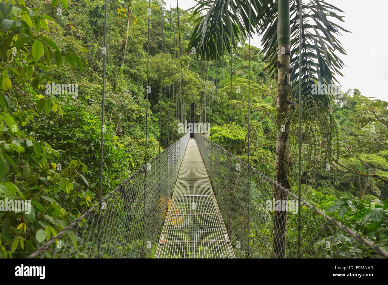 Suspended bridge at natural rainforest park, Costa Rica Stock Photo