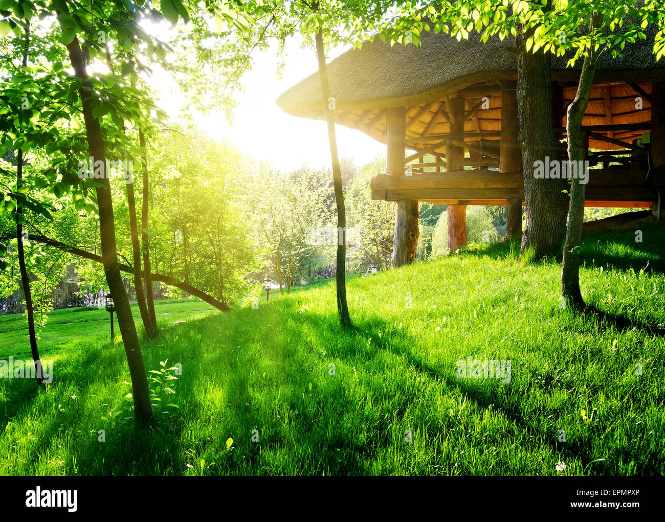 Gazebo among the green trees in sunny day Stock Photo