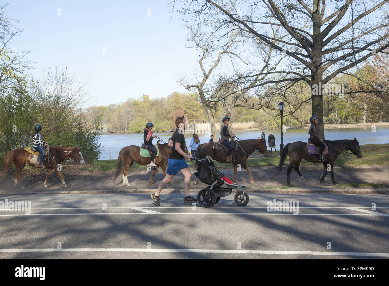 People horseback ride and people jog passed the lake in Prospect Park