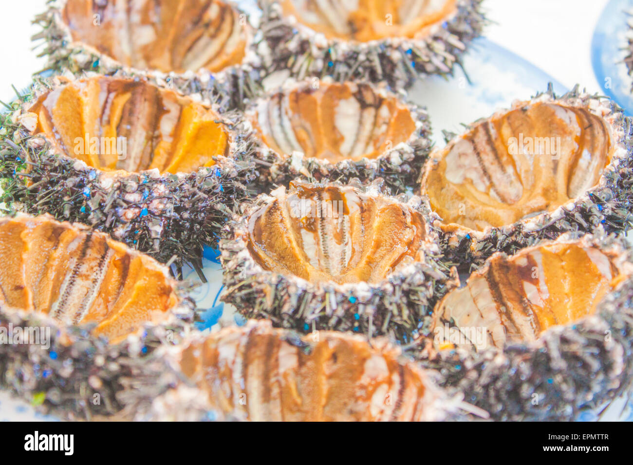 A platter full of sea urchin halves, at a market Stock Photo