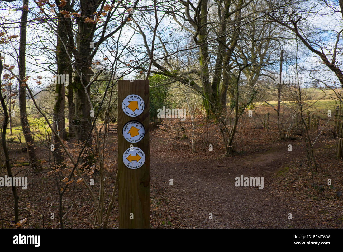 Bilingual public footpath sign on post, publc footpath, in field near Pentyrch, north Cardiff, South Glamorgan, Wales, UK Stock Photo