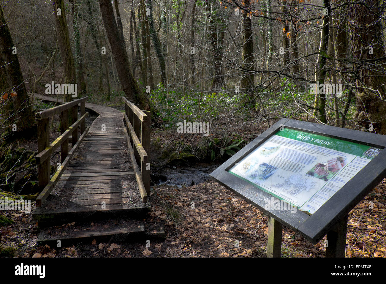 Information sign, Coed y Bedw nature reserve near Taff's Well, Cardiff, South Glamorgan South Wales, UK Stock Photo