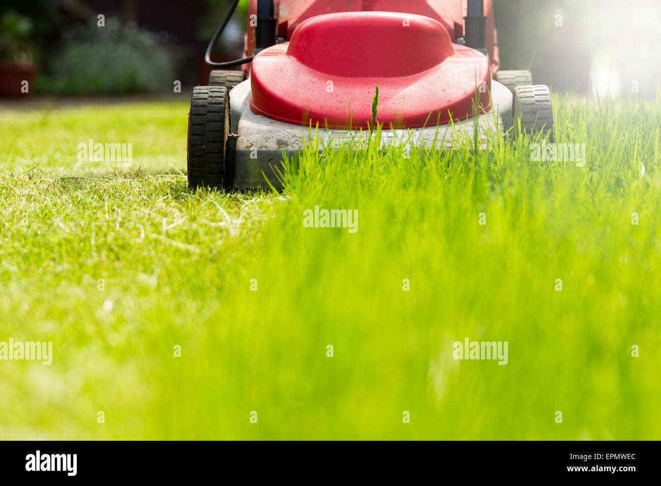 Lawn mowing in sunshine. Stock Photo