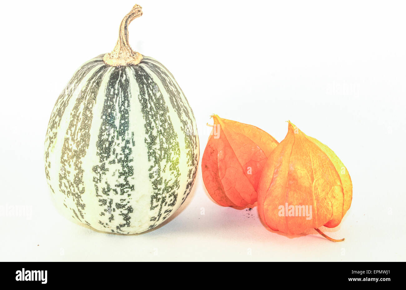 Closeup on decorative pumpkins and two physalis, on white background Stock Photo