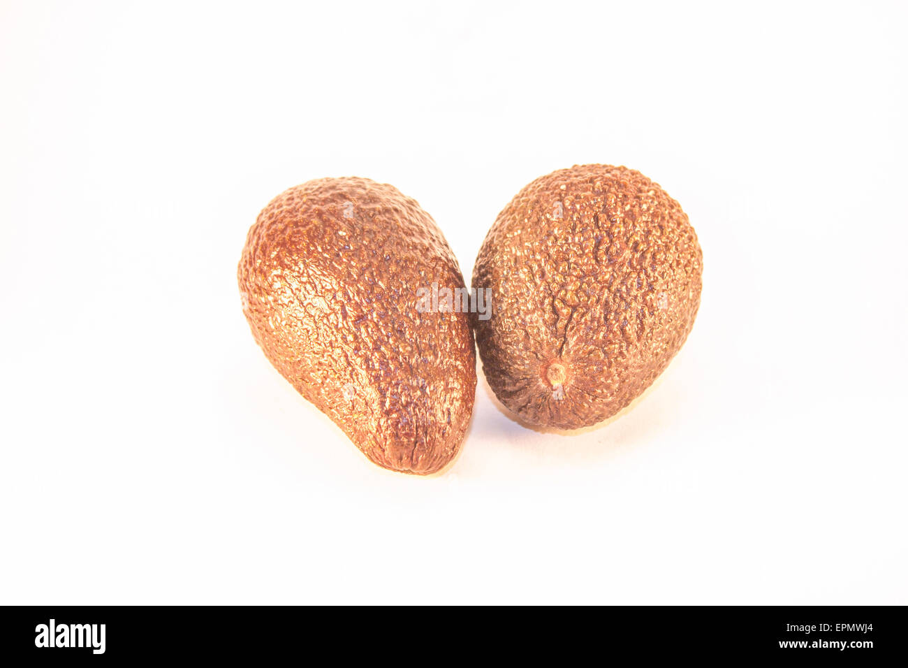 Two brown avocados, isolated on white background Stock Photo