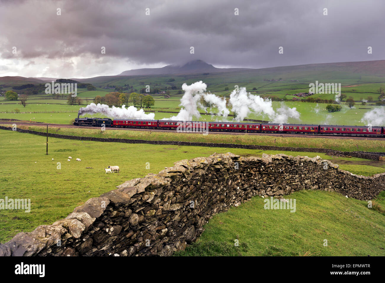 Yorkshire Dales, UK. 19th May, 2015. Steam locomotive 'Leander' takes The Daleman rail excursion towards Horton in Ribblesdale on a wet morning in the Yorkshirre Dales, with the iconic Pen-y-ghent hill in the background. Credit:  John Bentley/Alamy Live News Stock Photo