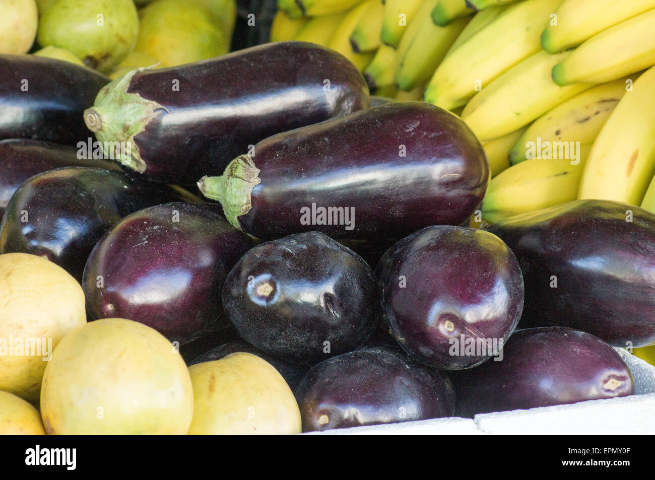 Eggplants or aubergines between bananas and guavas Stock Photo Alamy